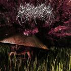 Amatera - SHADOWS IN THE DARK