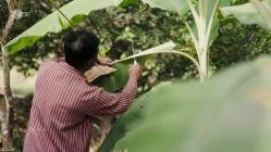 Terra.X.Vergessendes.Wissen.Die.Schaetze.der.Natur.GERMAN.DOKU.HDTVRip.x264-TMSF