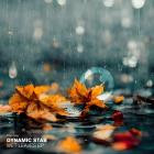 Dynamic Stab - Wet Leaves EP