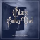 Stars - Snowy Owl (Benjamin Gibbard Remix)