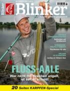 Blinker 08/2025
