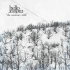 Hello Meteor - The Existence Wild