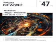 Spektrum Die Woche 47/2024