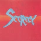 Secrecy - Art in Motion