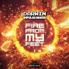 Darwin & Impulse Riders - Fire From My Feet