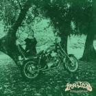 Iron Head Stoned - FUNDAMENTAL