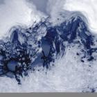 Sciahri - Pareidolia IV