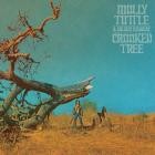 Molly Tuttle & Golden Highway - Crooked Tree