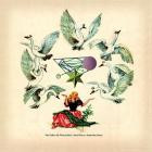 Jane Weaver - The Fallen by Watchbird (Expanded Edition)