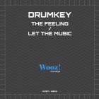 Drumkey - The Feeling  Let The Music