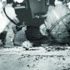 Nuzzle - Follow, For Now