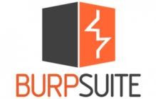 Burp Suite Professional 2025.5.3