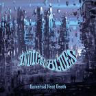 Indica Blues - - Universal Heat Death  
