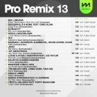 Mastermix - Pro Remix Vol 13