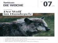 Spektrum Die Woche 07/2025