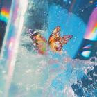 Daphni - Butterfly (Expanded Edition)