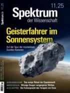 Spektrum Der Wissenschaft 11/2025