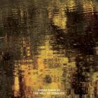 Sarah Davachi - The Will of Tongues