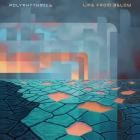Polyrhythmics - - Life From Below  