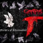 Calamitous - Feathers of Reminiscence