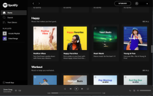 Spotify ADS Remover v1.2.95.453 + Portable