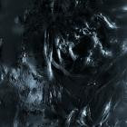 NLI - PlacidIntrepid