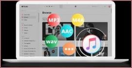 Pazu Apple Music Converter v1.7.10