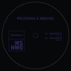 Polygonia & Rodhad - MAUVIER