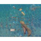 Find My Friends-find my friends-16BIT-WEB-FLAC-2025-FLACCiD