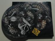 Across the Swarm-Projections- TTK027CD -CDEP-FLAC-2020-86D