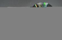 VA-DJ Screw - Diary of the Originator - Chapter 4 - Choppin Game Wit Toe