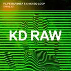 Filipe Barbosa & Chicago Loop - Shine EP