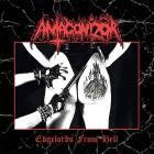 Antagonizor - Edgelords From Hell