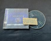 Mae- E vening-CDEP-FLAC-2011-FAiNT