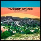 Yussef Dayes - The Yussef Dayes Experience Live at Joshua Tree (Pre