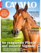 CAVALLO 05/2025