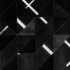 Conforce - Terra Modis