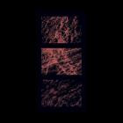 VA-The Space In Between- DOR005 -16BIT-WEB-FLAC-2025-BABAS