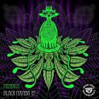 Meerkut and Fafazz-The Black Mamba EP- WDGD003 -16BIT-WEB-FLAC-2013-BABAS