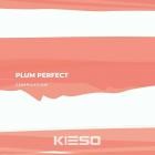 VA - Plum Perfect