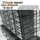 Triosk Meets Jan Jelinek - 1 plus 3 plus 1