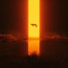 Gaerea-Loss-16BIT-WEB-FLAC-2026-FLACCiD