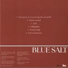 Blue Salt-You Met Me At A Very Strange Time In My Life-CDEP-FLAC-2026-KINDA