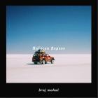 braj mahal - Halycon Respose