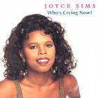 Joyce Sims-Whos Crying Now-16BIT-WEB-FLAC-1994-SHHHHHH