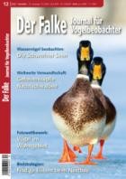 Der Falke - Journal fuer Vogelbeobachter 12/2023