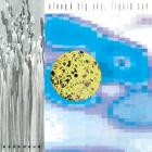 Sleep D-Big Sky Liquid Sun- BSR045 -24BIT-WEB-FLAC-2025-BABAS