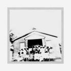 Wiregrass Sacred Harp Singers - Songs From The B  F  White Sacred Harp