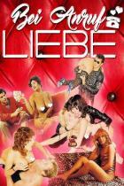 Bei Anruf Liebe