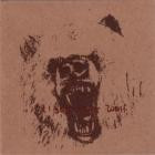Tiger Bear Wolf - Tiger Bear Wolf